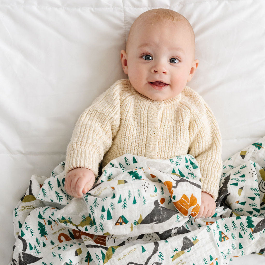 National Parks Swaddle Blanket - Mini Pattern