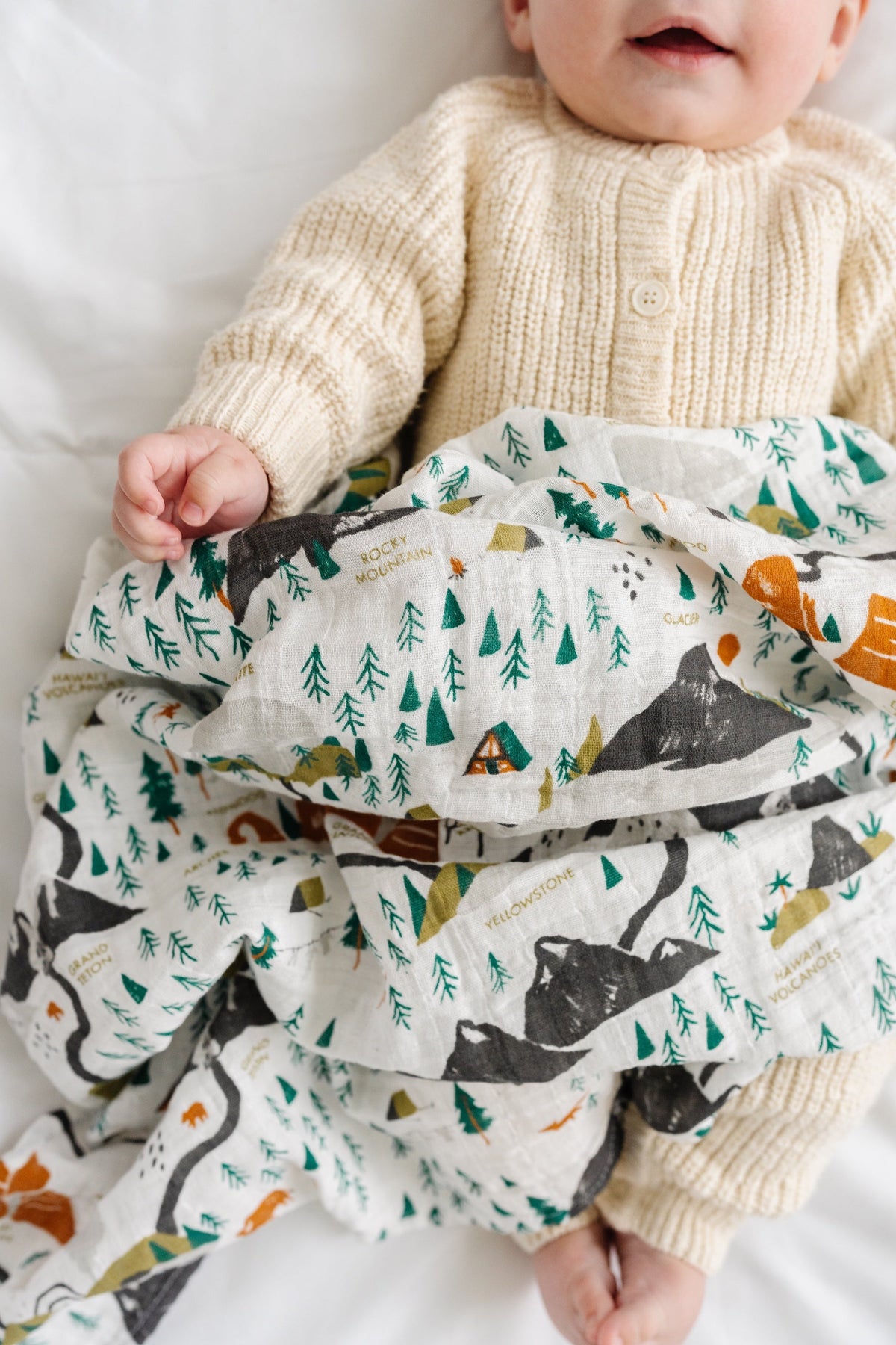 National Parks Swaddle Blanket - Mini Pattern