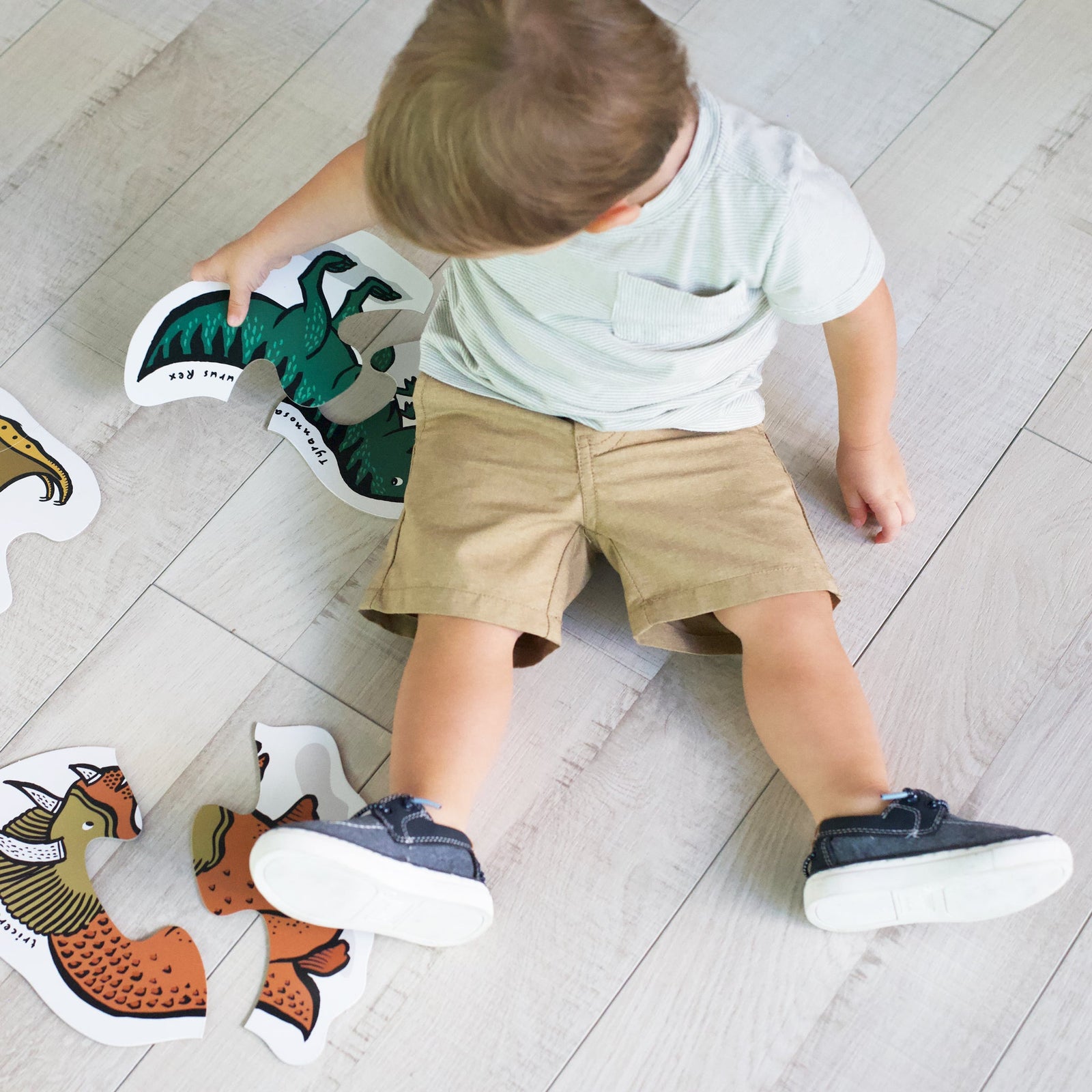 Dinosaur Beginner Puzzles