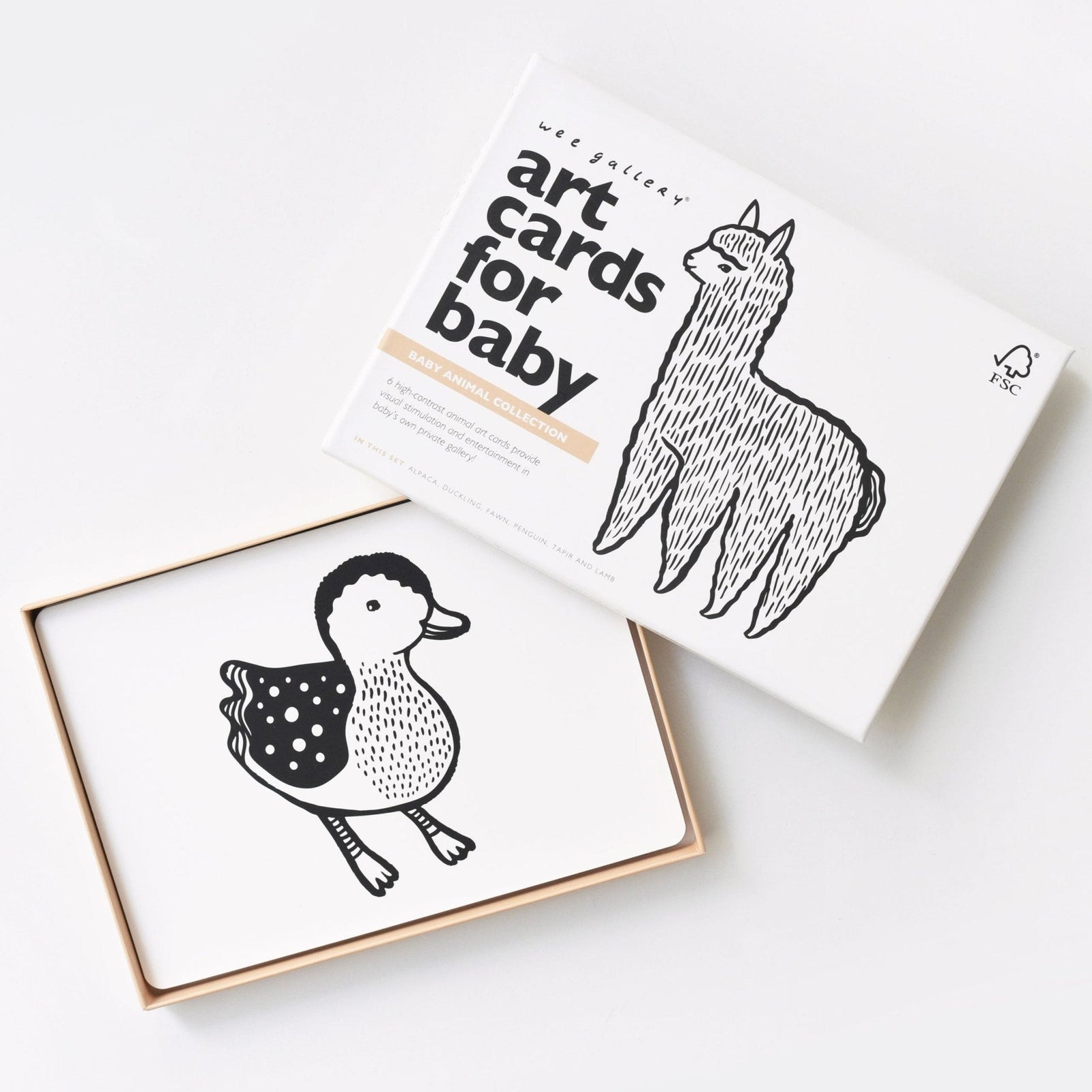 Baby Animal Art Cards