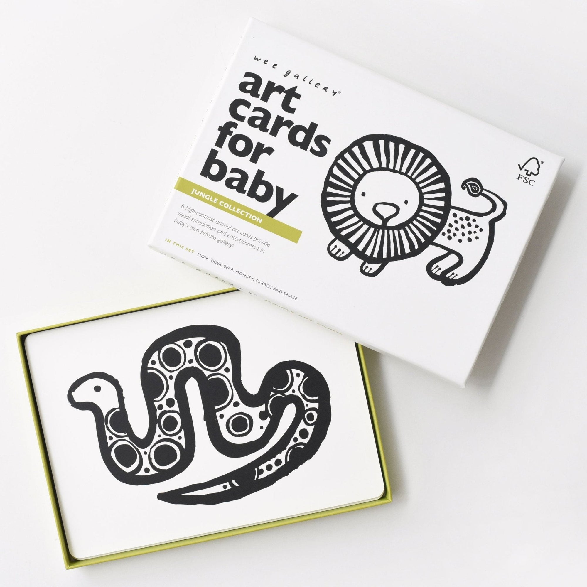 Jungle Art Cards
