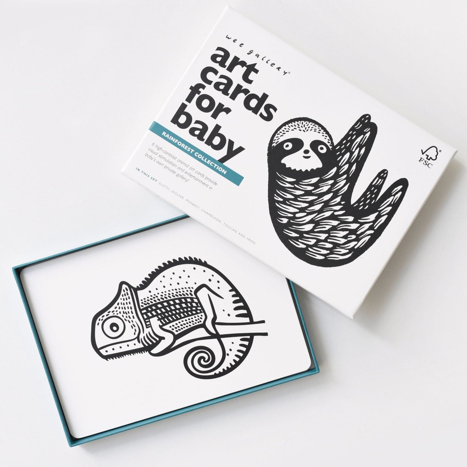 Rainforest Art Cards