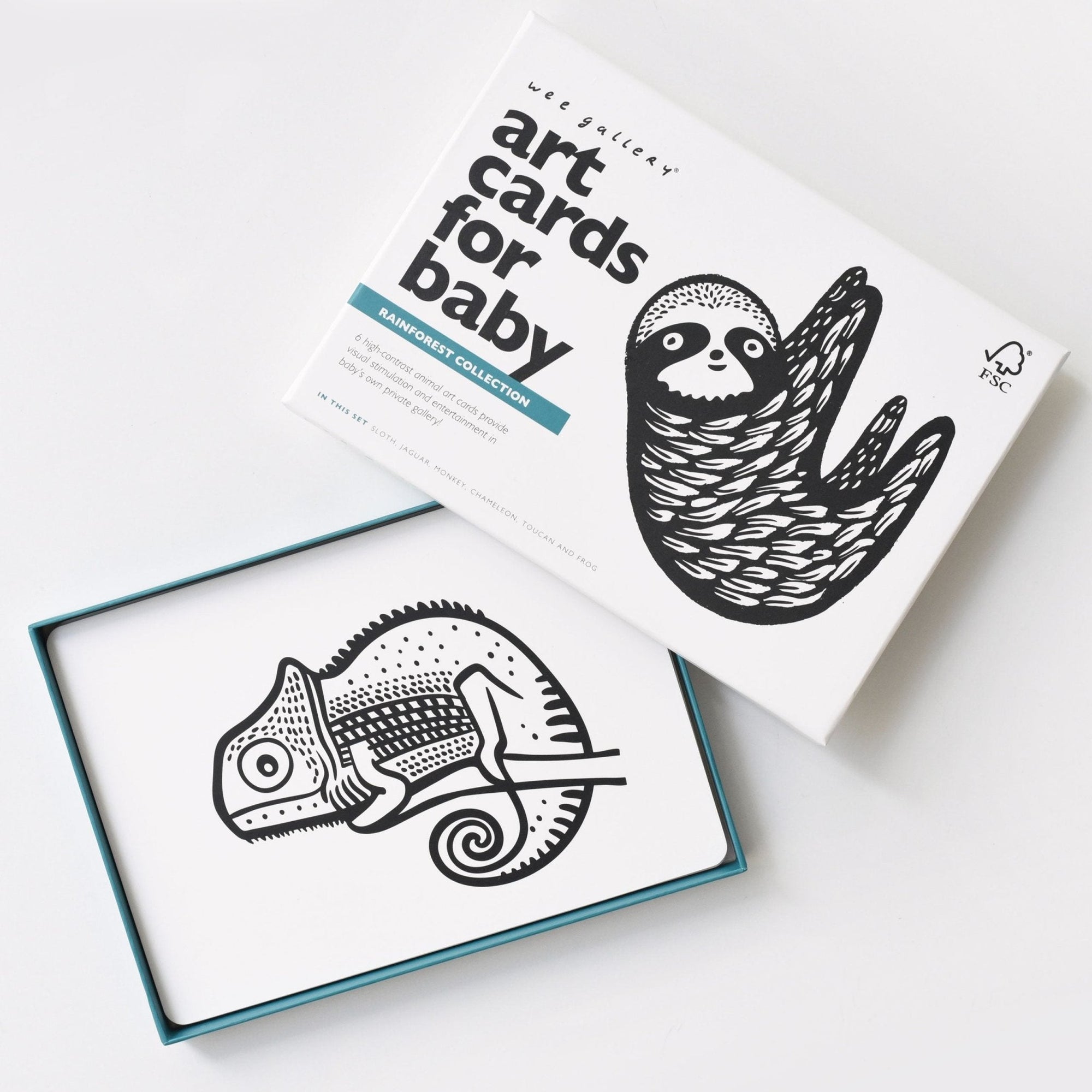 Rainforest Art Cards