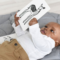 Pet Art Cards
