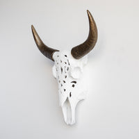Faux Carved Cow Skull Wall Hanging