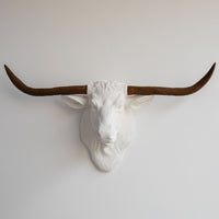 Faux Texas Longhorn Sculpture