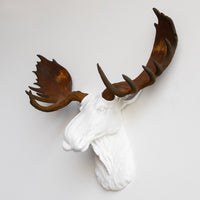Faux Moose Sculpture