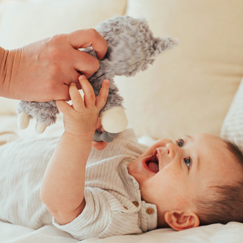Kitty Love Lovey