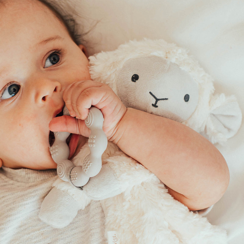 Lamb Love Lovey