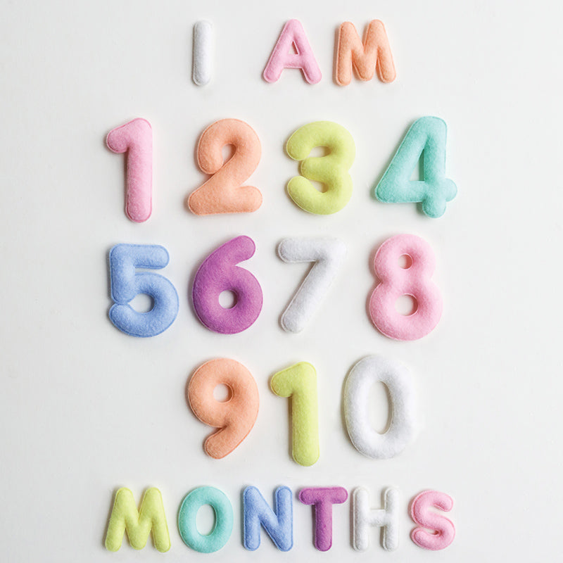 Pastel Milestone Felt Numbers Set