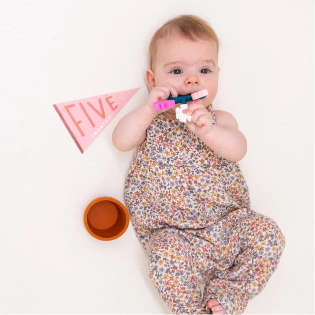 Blushing Meadow Petit Milestone Pennants