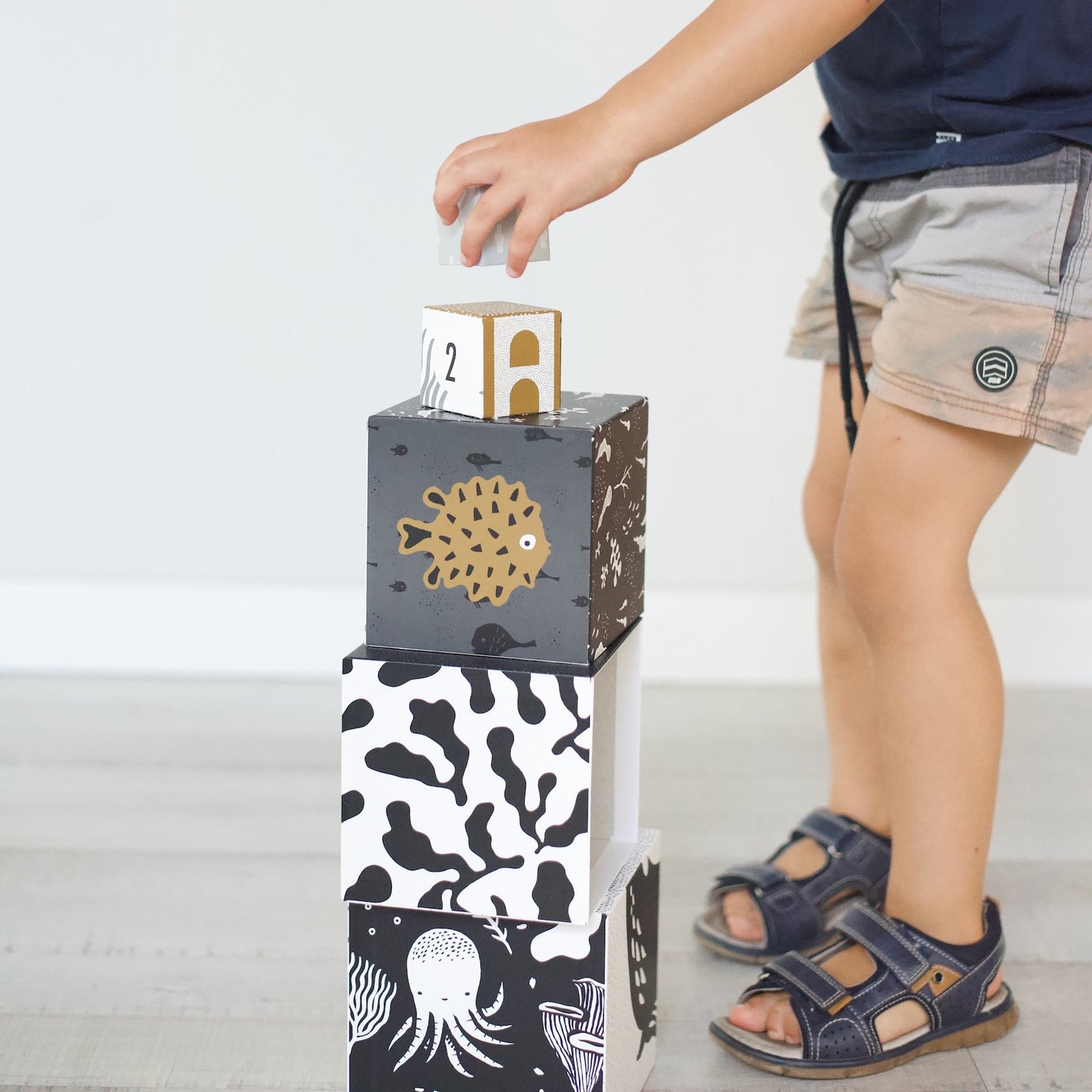 Ocean Animals Nesting Blocks