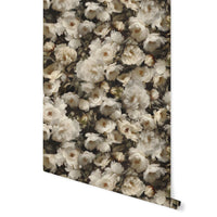 Pretty Peony Wallpaper