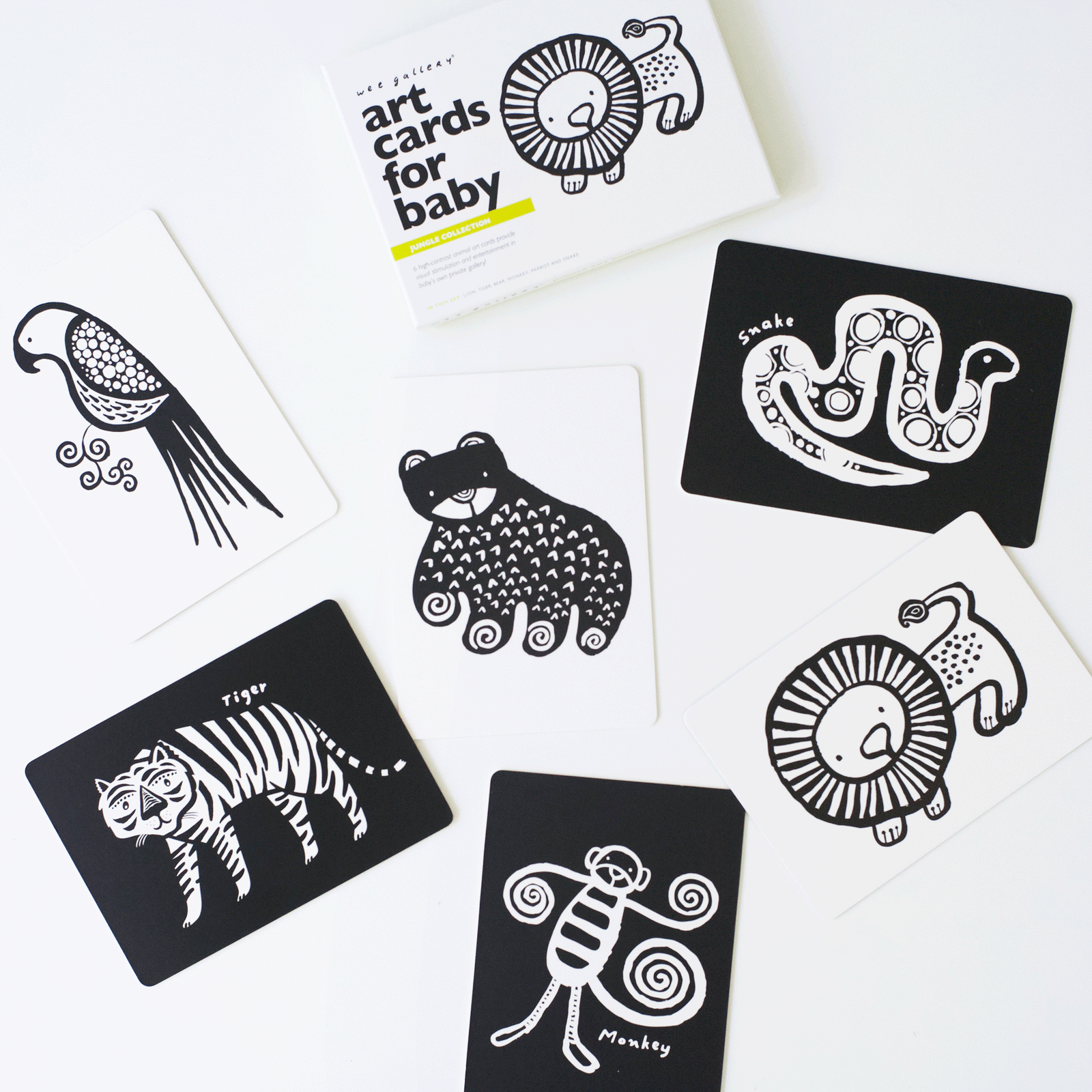 Jungle Art Cards