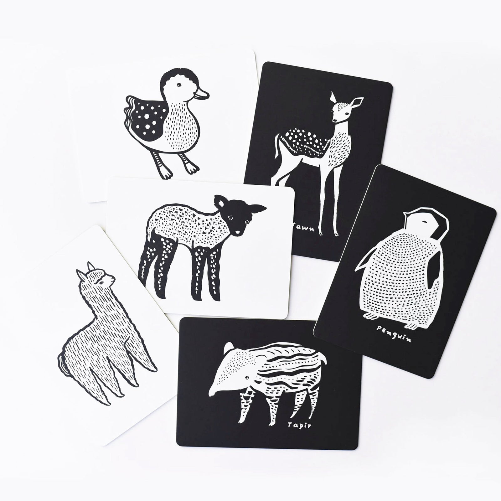 Baby Animal Art Cards
