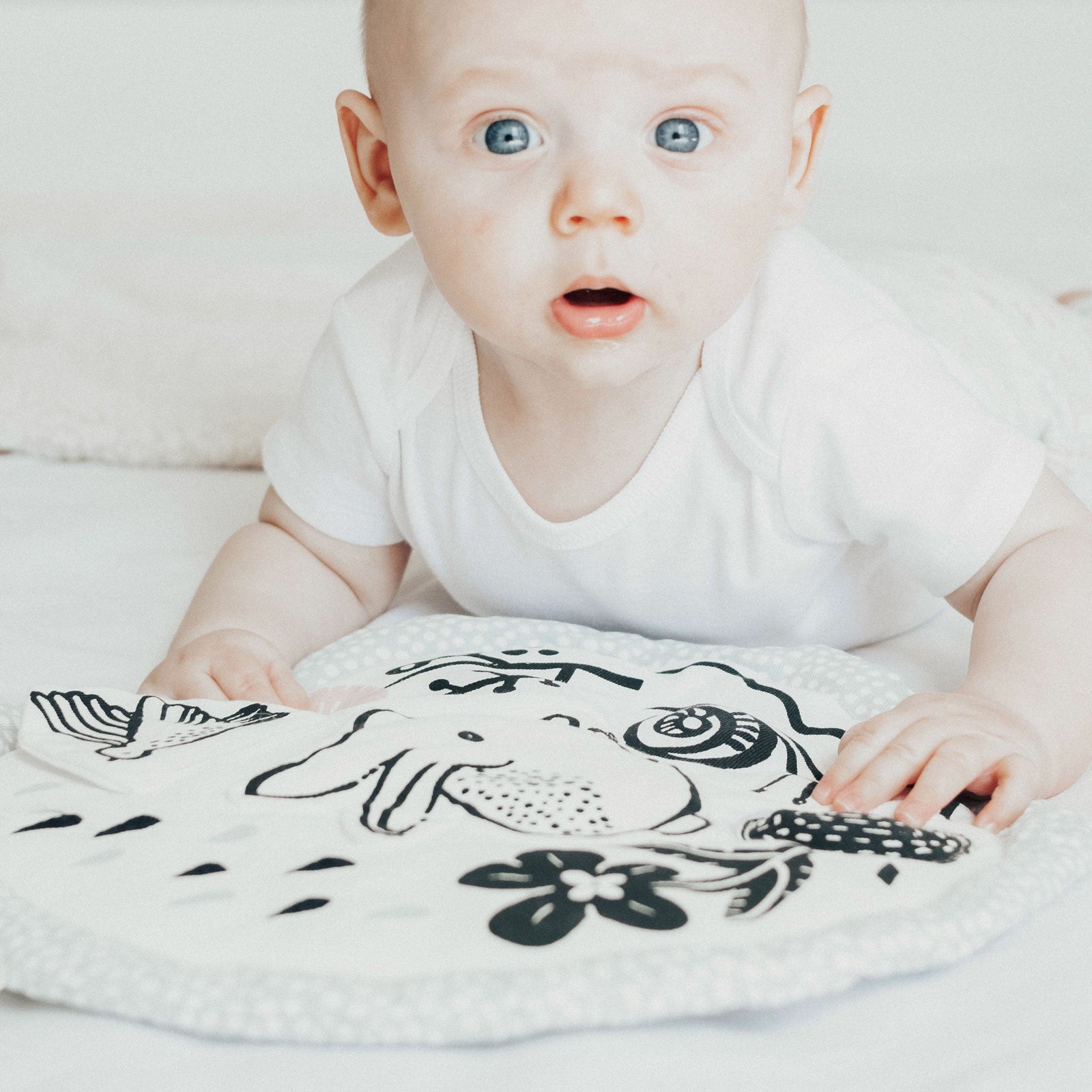 Meadow Organic Activity Pad