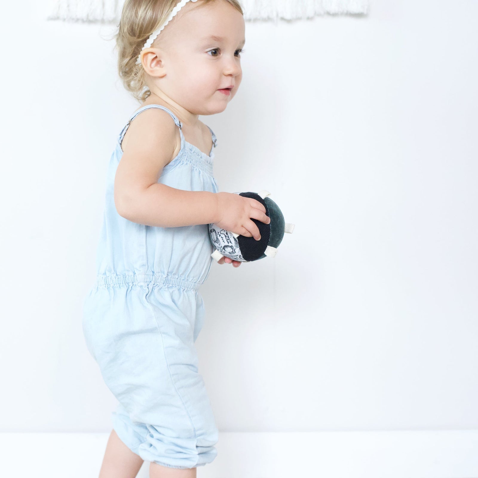 Wild Rattle Taggy Ball