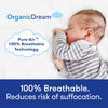 Organic Dream Organic Cotton Mattress Protector - Project Nursery