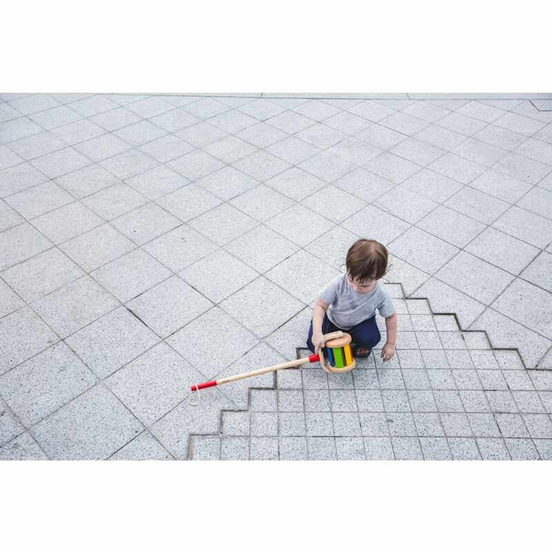 Walk N Roll Toy