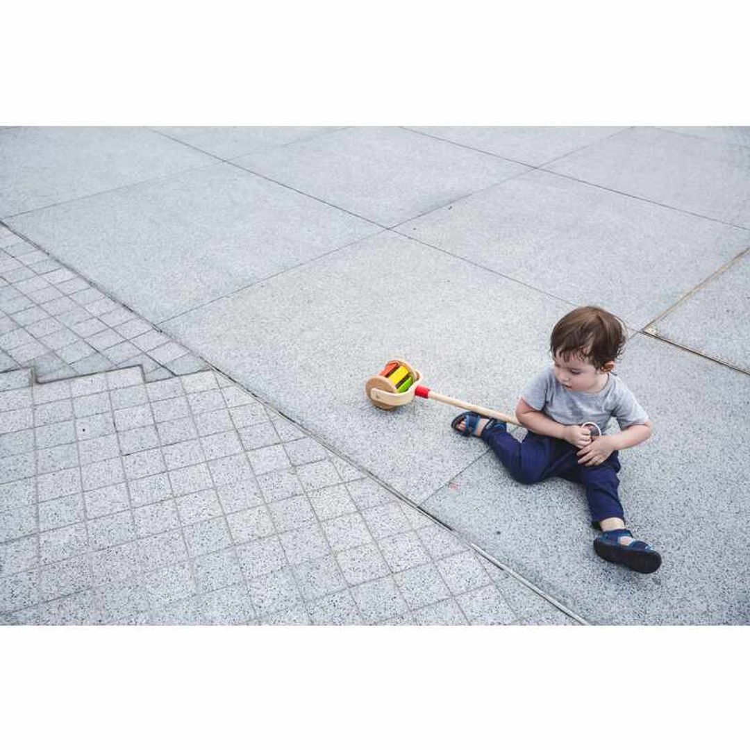 Walk N Roll Toy
