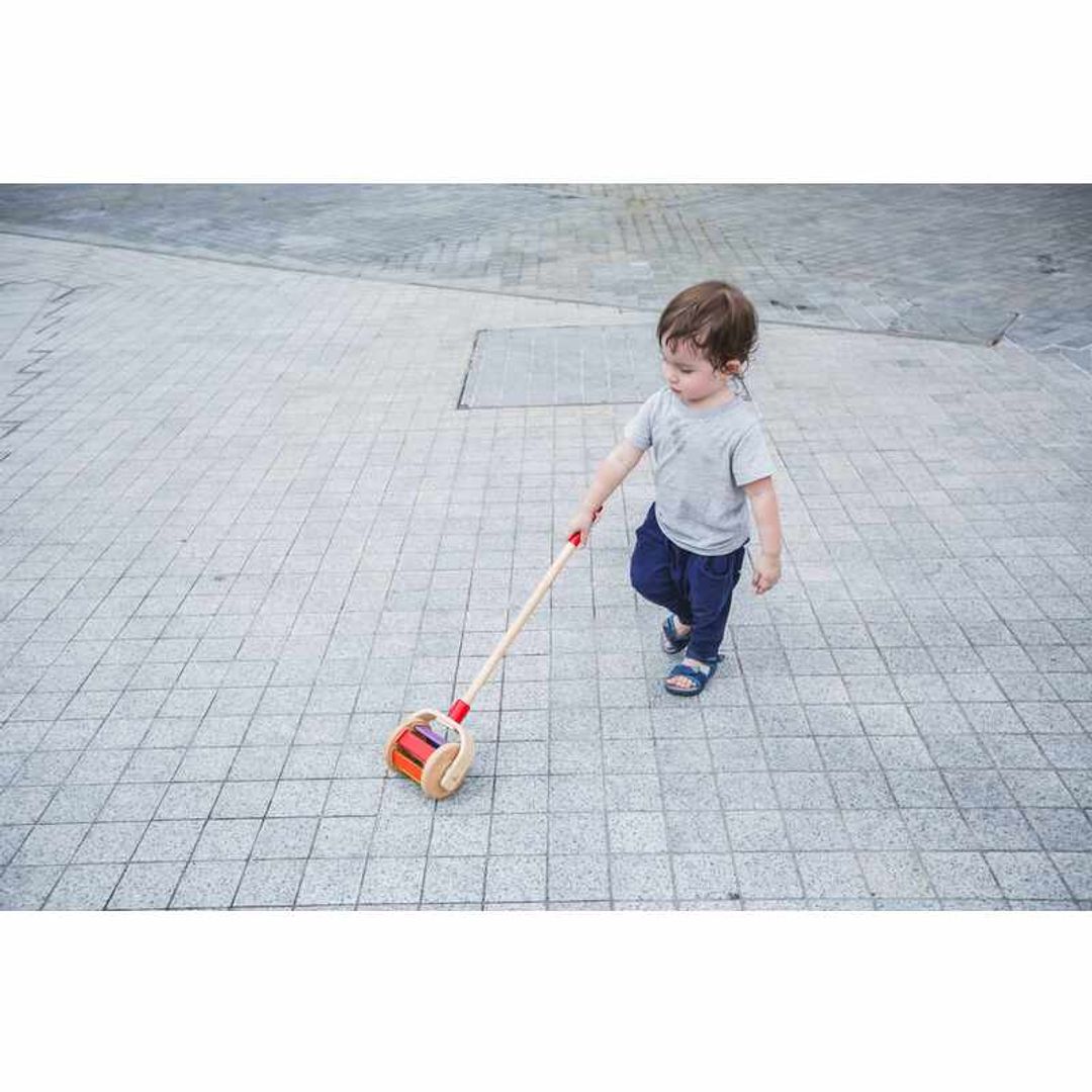 Walk N Roll Toy