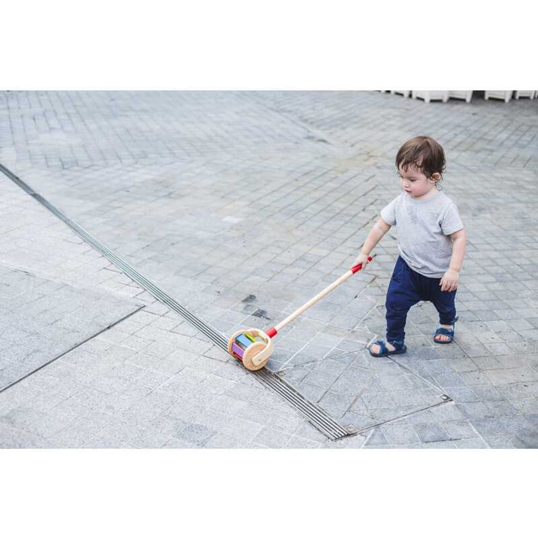 Walk N Roll Toy