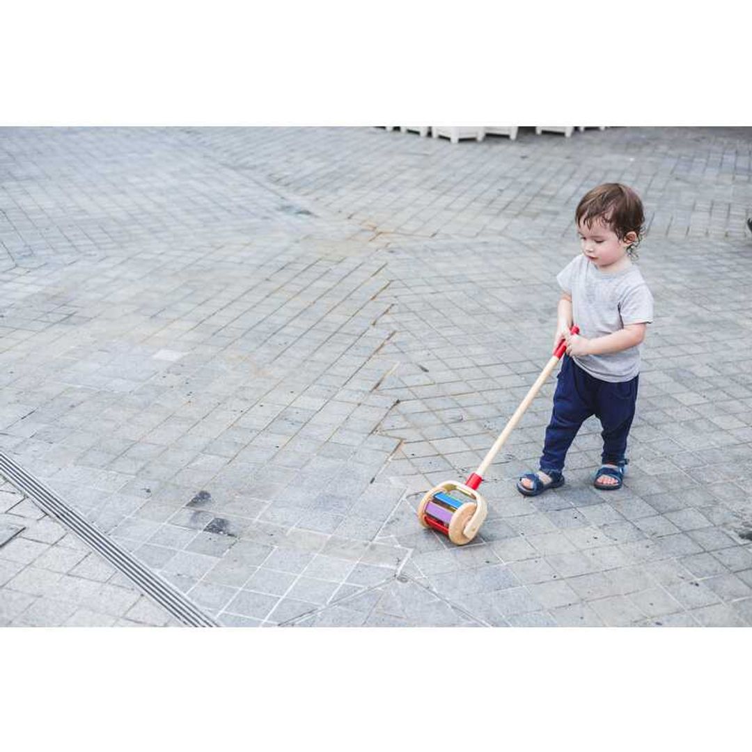 Walk N Roll Toy