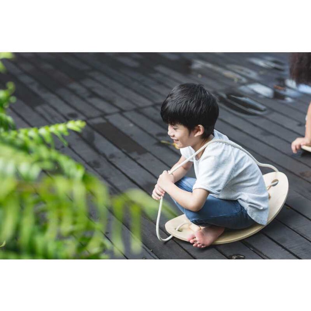 Wooden Balance Board Set