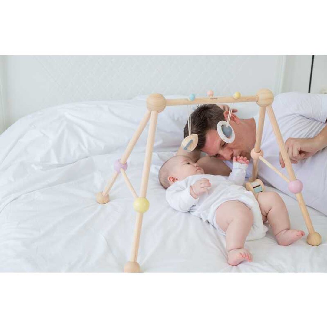 Wooden Play Gym - Pastel