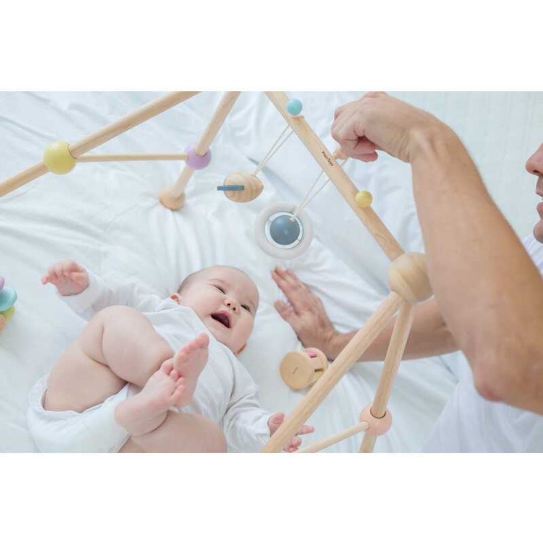 Wooden Play Gym - Pastel