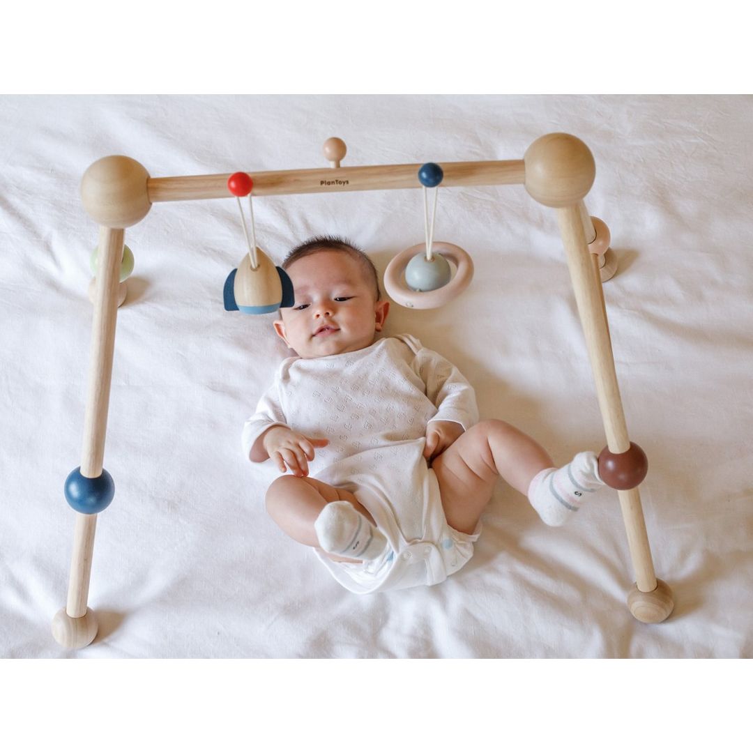 Wooden Play Gym - Orchard
