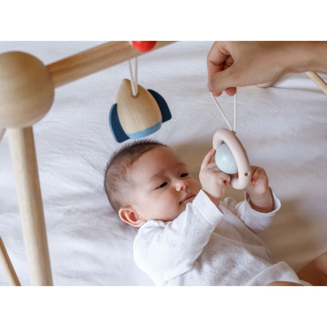 Wooden Play Gym - Orchard