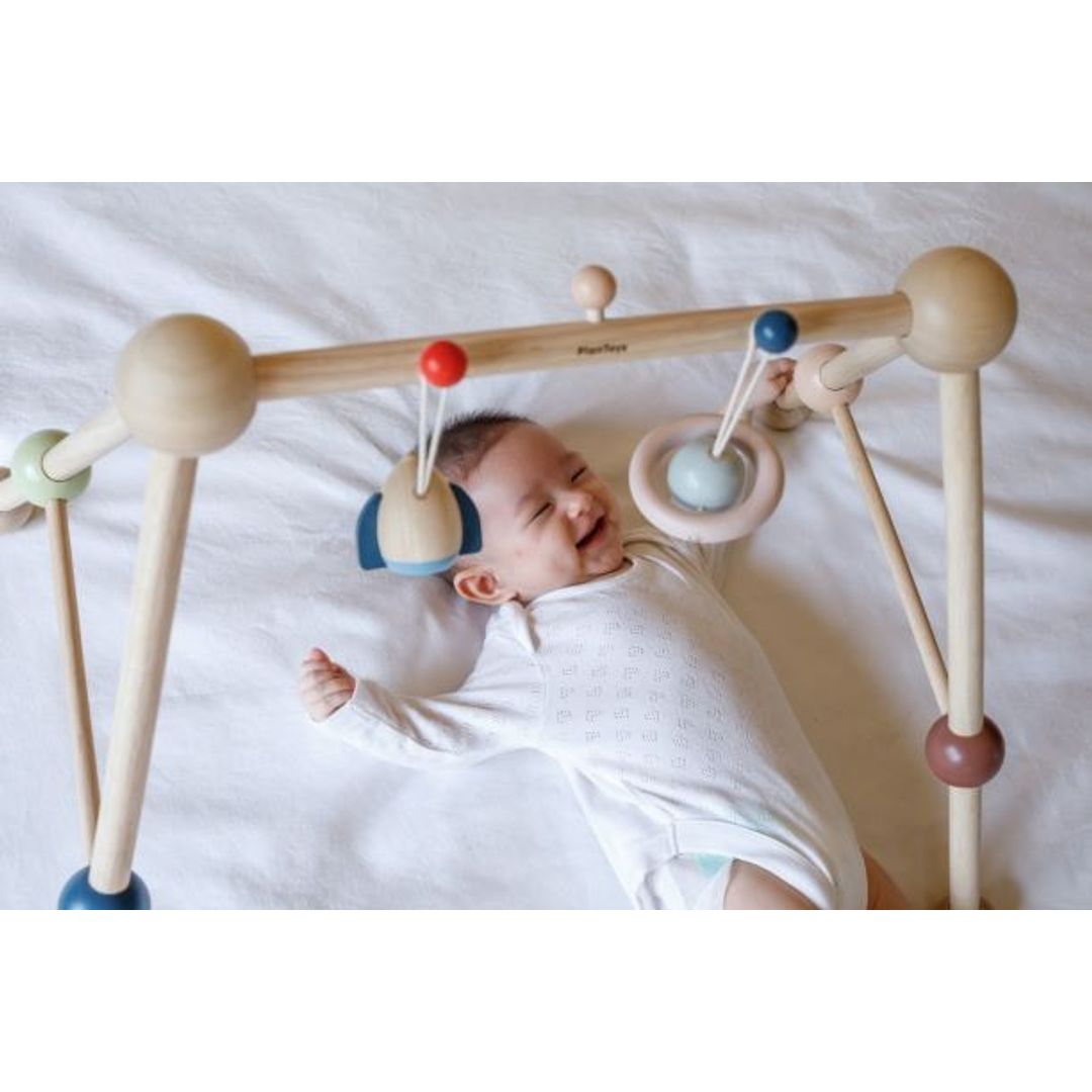 Wooden Play Gym - Orchard