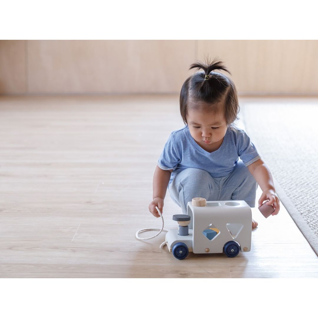 Sorting Bus Toy  - Orchard