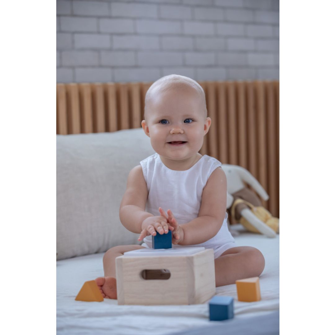 Shape + Sort It Out Toy - Orchard
