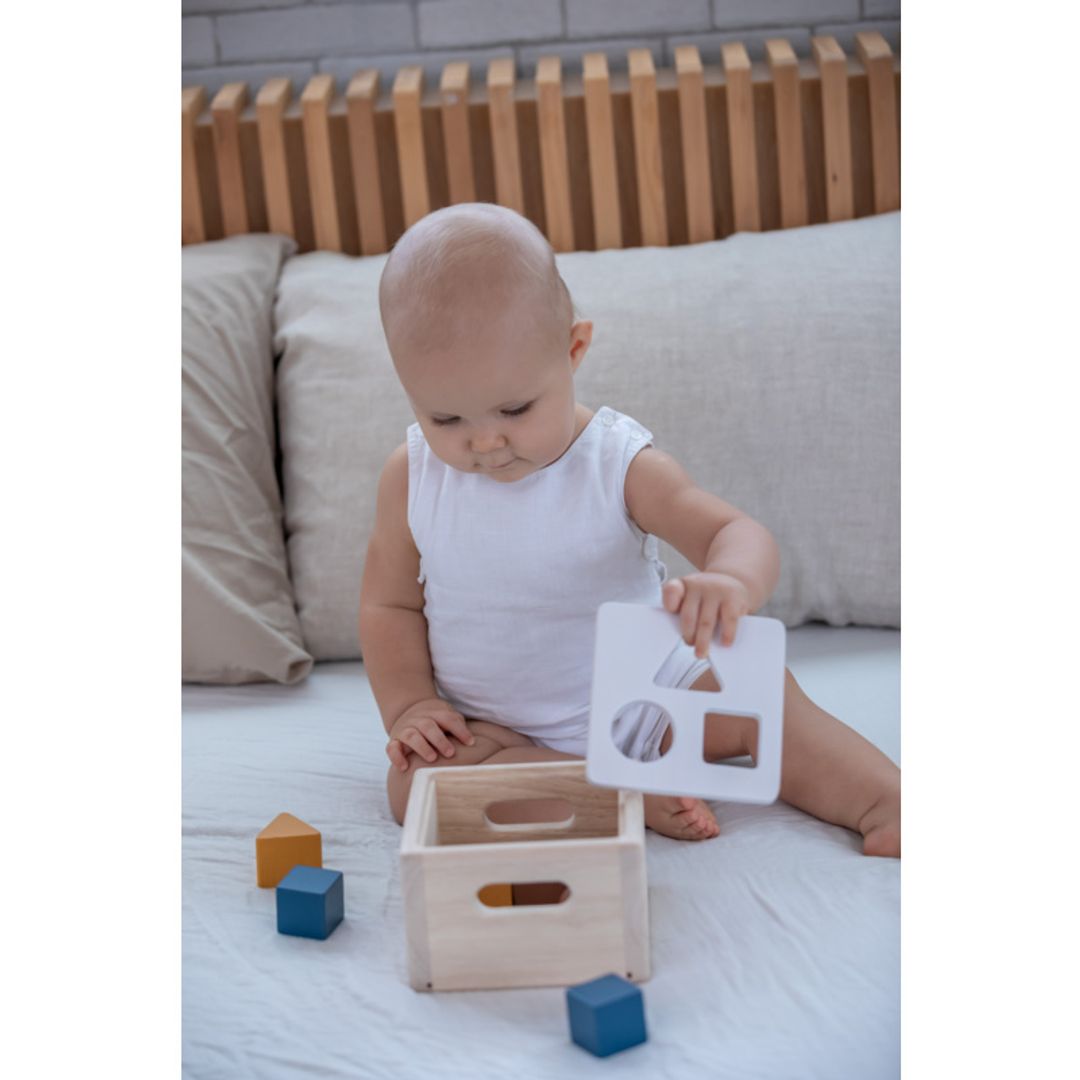 Shape + Sort It Out Toy - Orchard