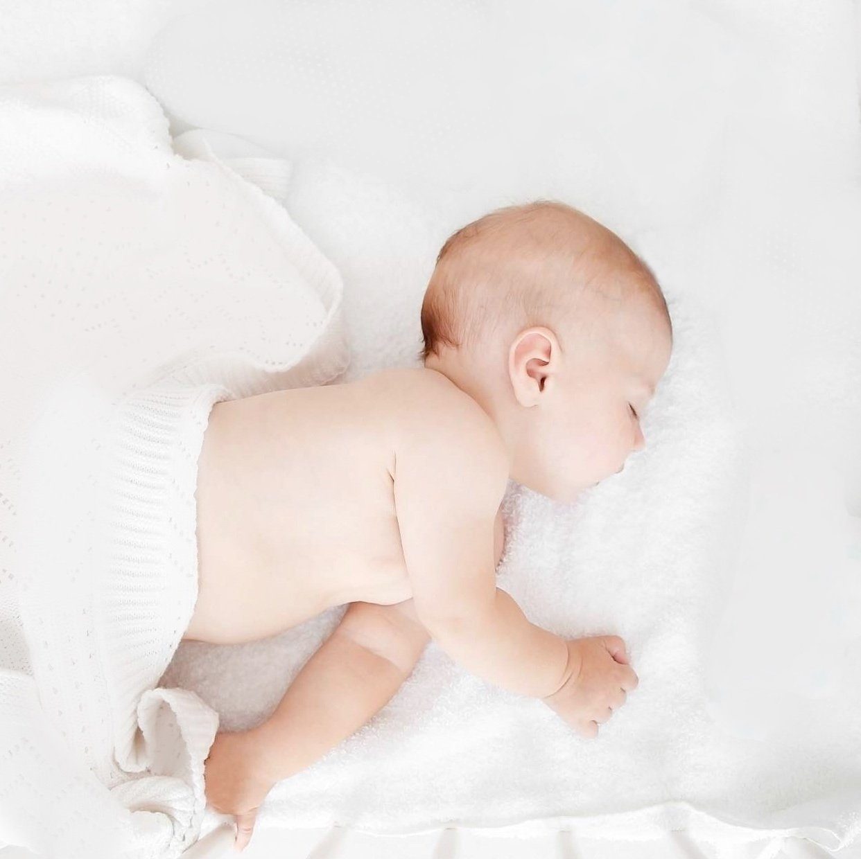 Organic Dream Organic Crib Mattress Cover - Project Nursery