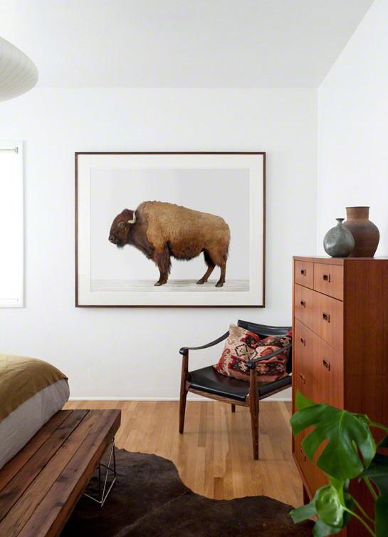 American Buffalo Print - Project Nursery