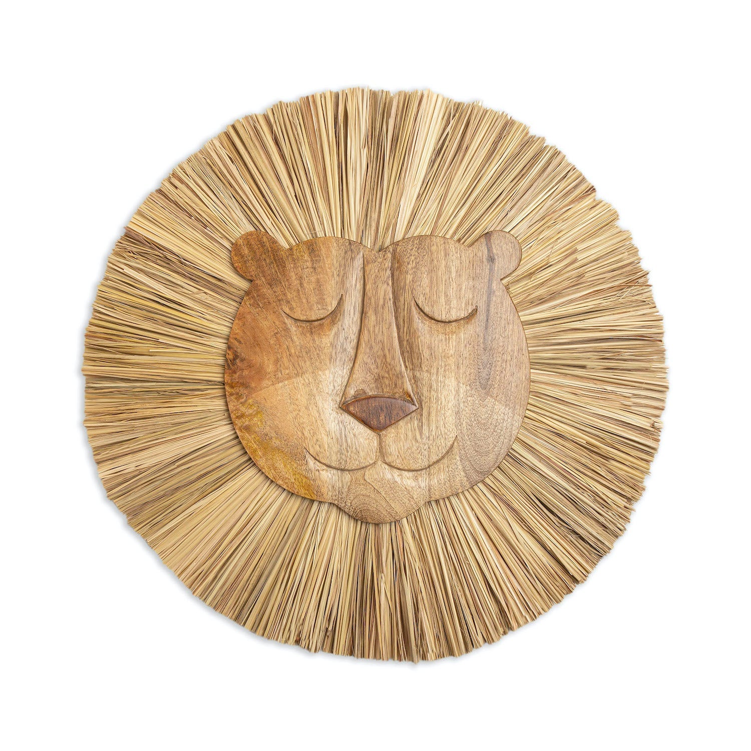 Lion Wall Decor - Project Nursery