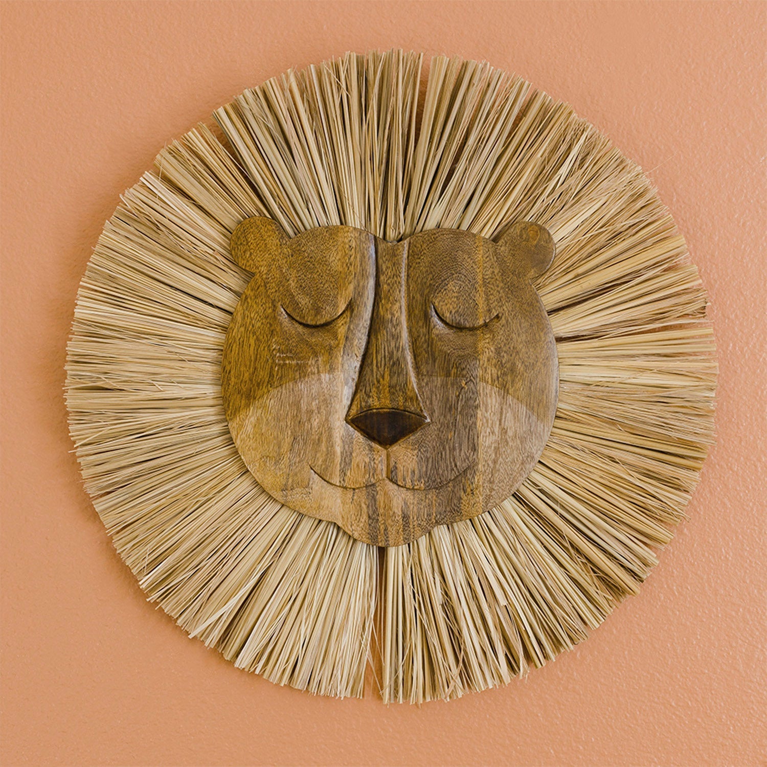Lion Wall Decor - Project Nursery