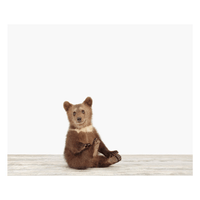 Bear Cub Print - Project Nursery