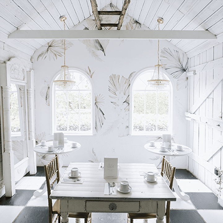 Bohemian Palm Wall Decals