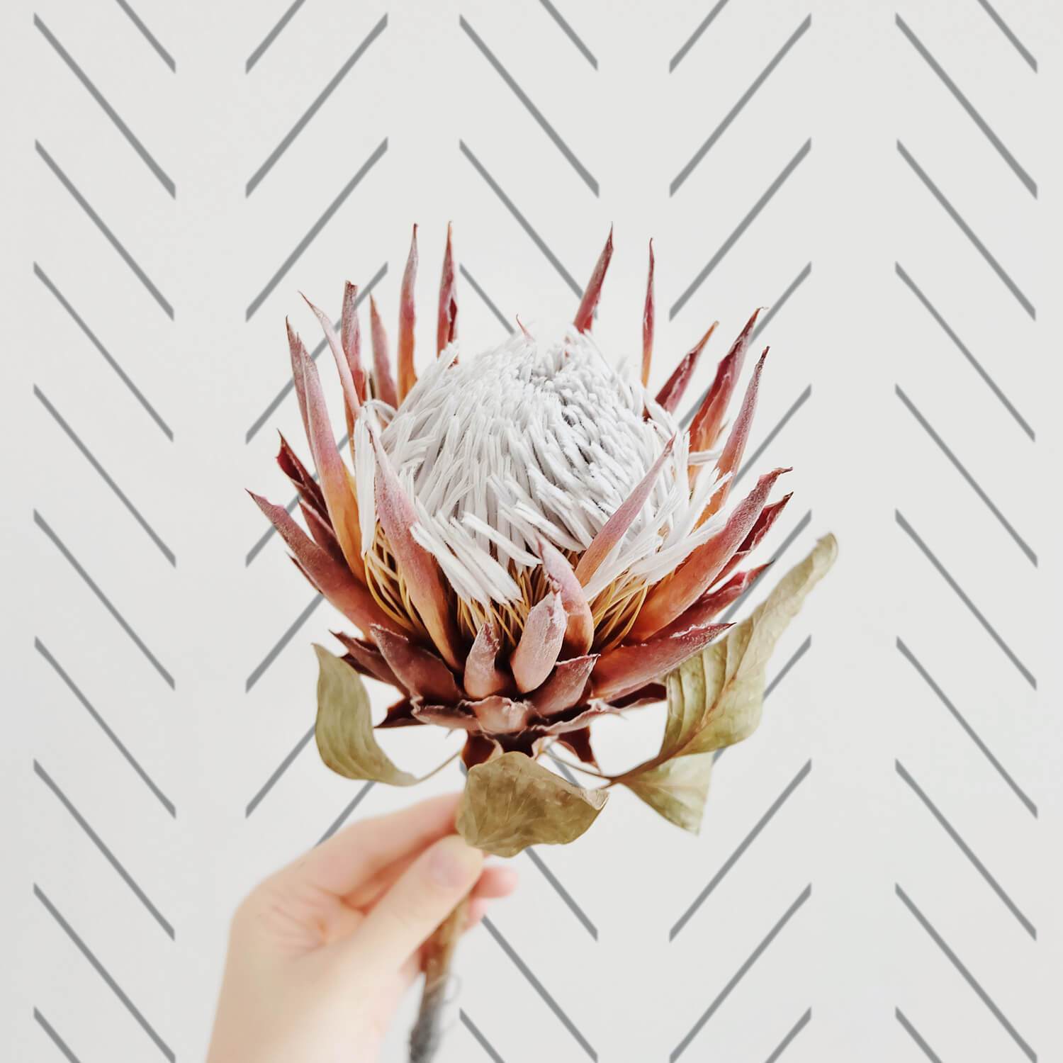 Gray Delicate Herringbone Wallpaper - Project Nursery