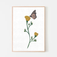 California Poppy Flower and Monarch Butterfly Art Print - Project Nursery
