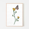 California Poppy Flower and Monarch Butterfly Art Print - Project Nursery