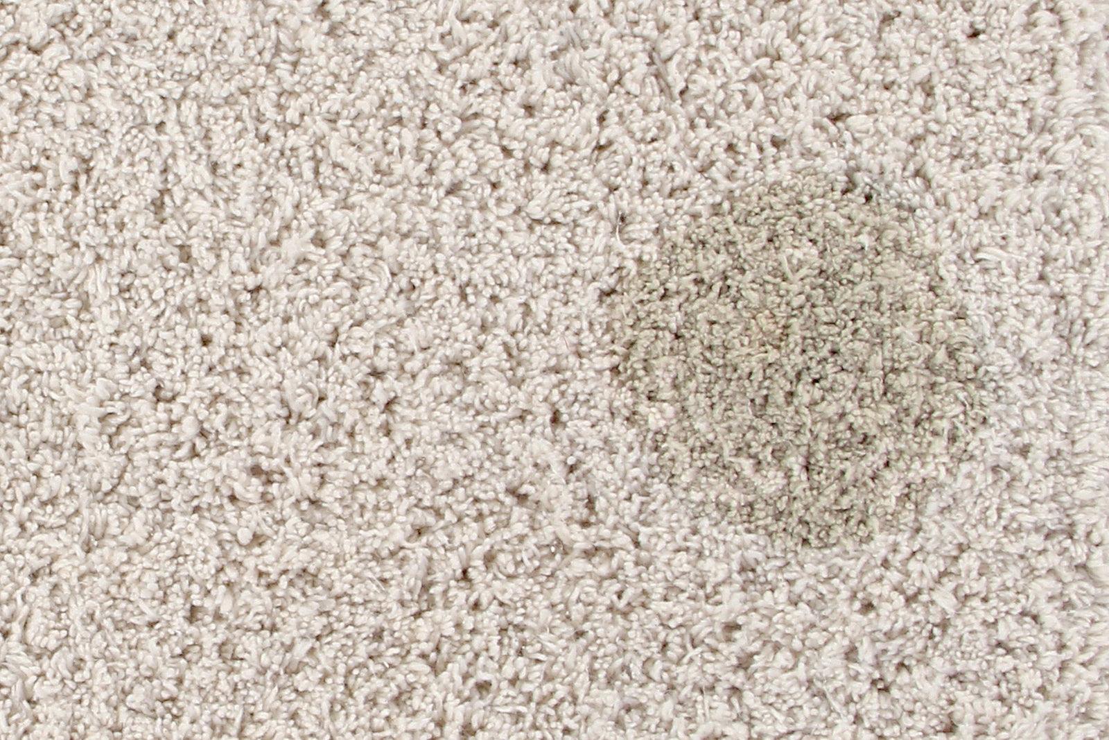 Hippy Dots Washable Rug - Olive - Project Nursery