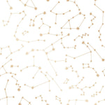 Constellations Wallpaper - Frost - Project Nursery