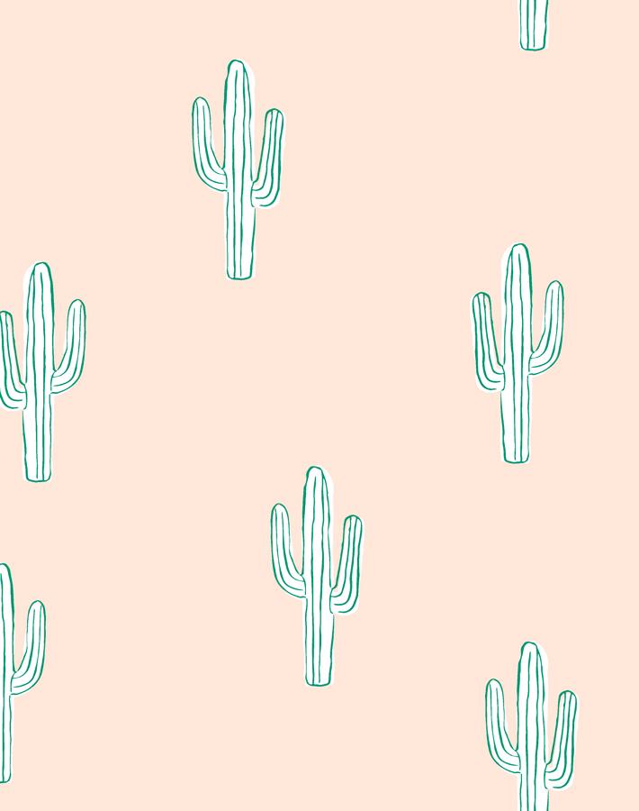 Wild Cactuses Pattern Wallpaper  Murals Your Way
