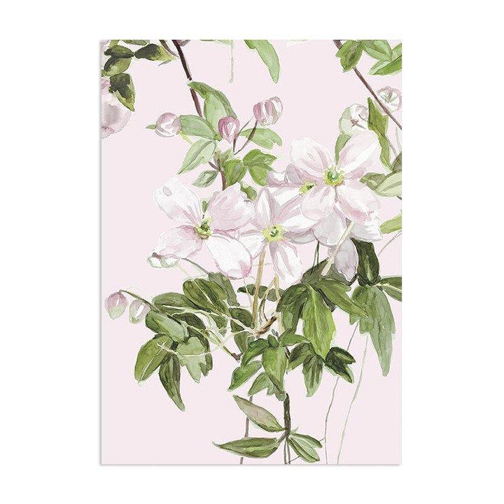 Classic Clematis Mural Wallpaper - Project Nursery