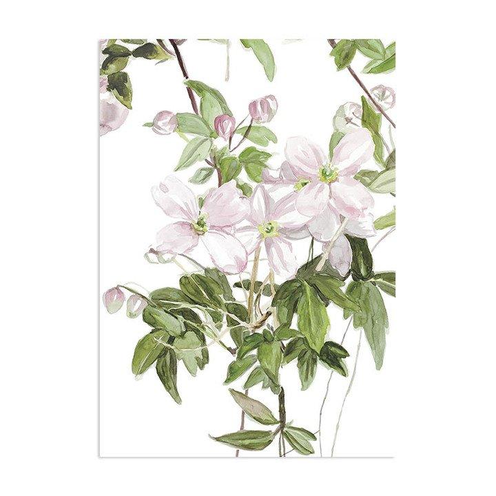Classic Clematis Mural Wallpaper - Project Nursery